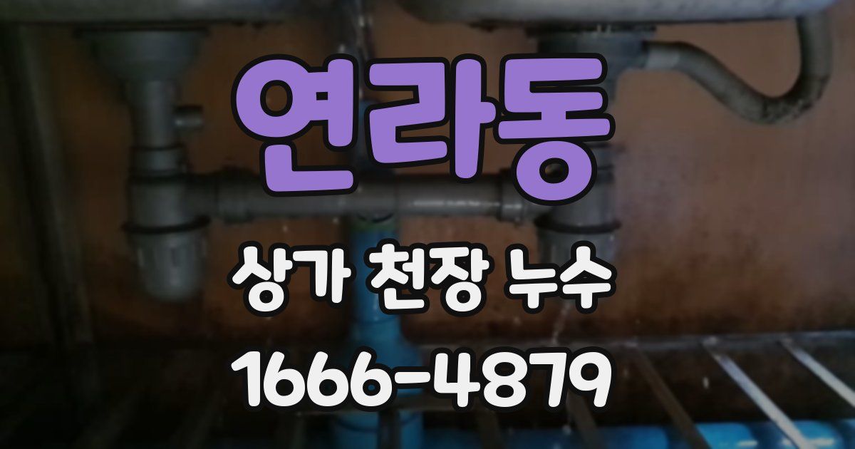연라동 상가 천장 누수
