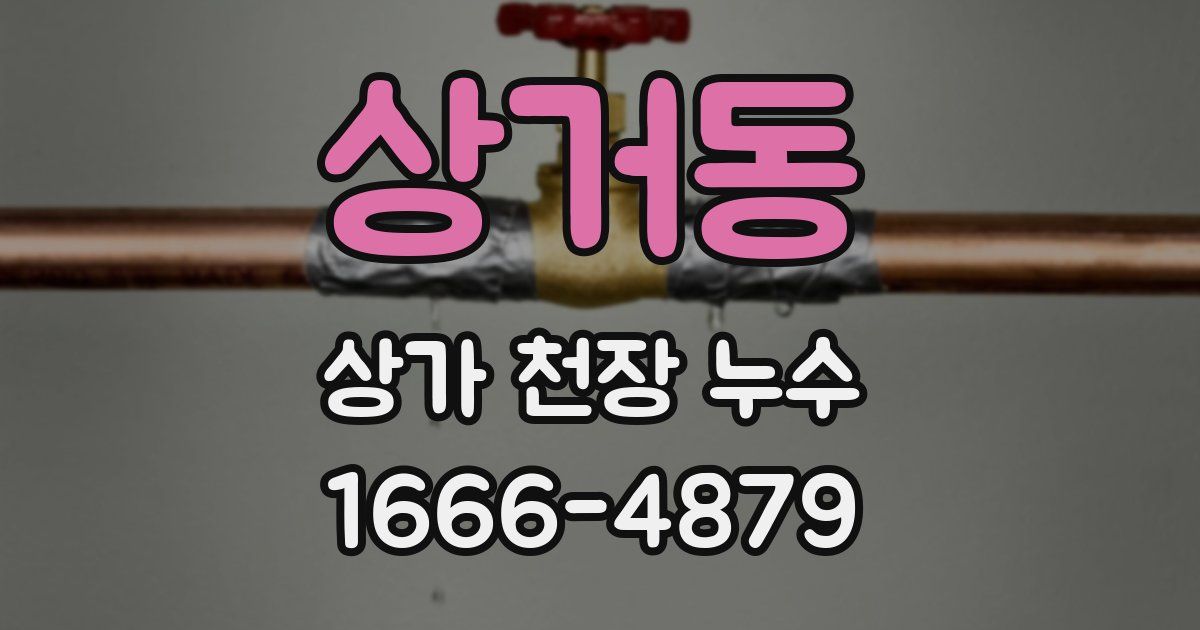 상거동 상가 천장 누수