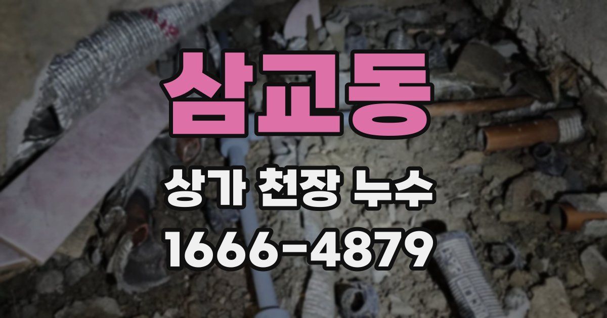 삼교동 상가 천장 누수