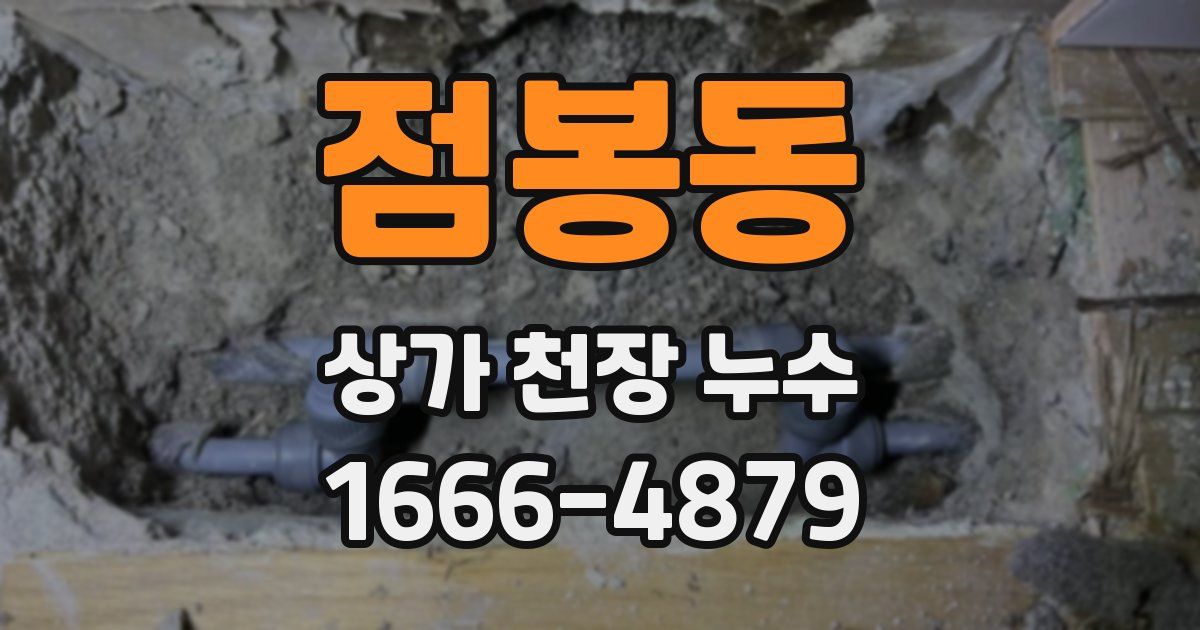 점봉동 상가 천장 누수