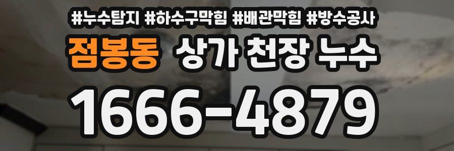 점봉동 상가 천장 누수
