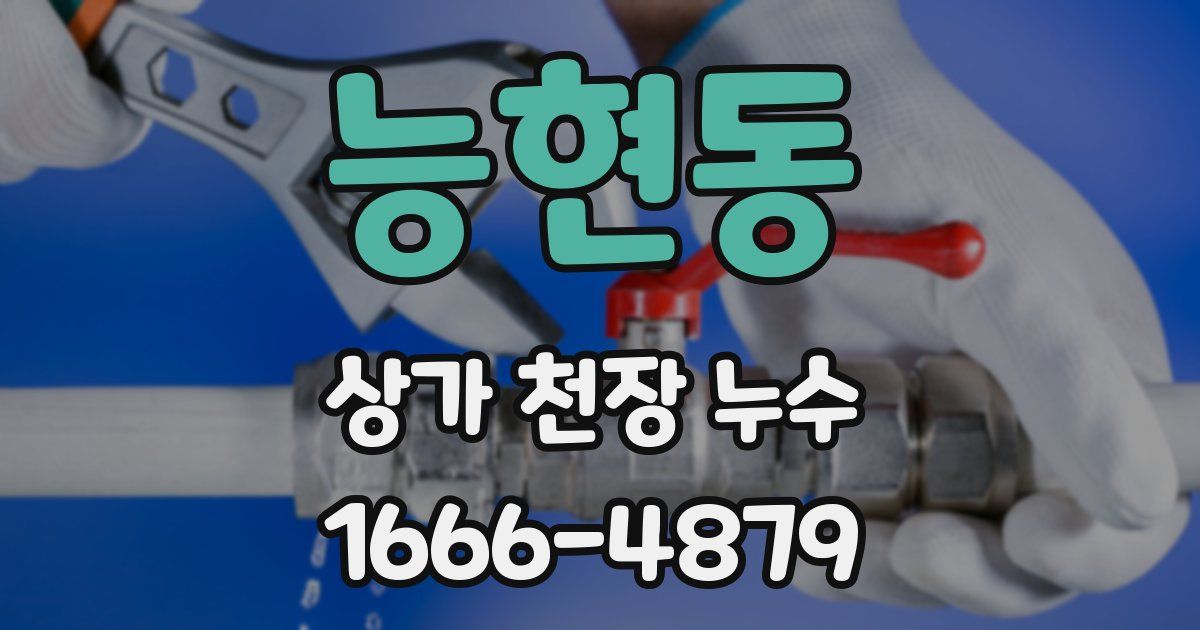 능현동 상가 천장 누수