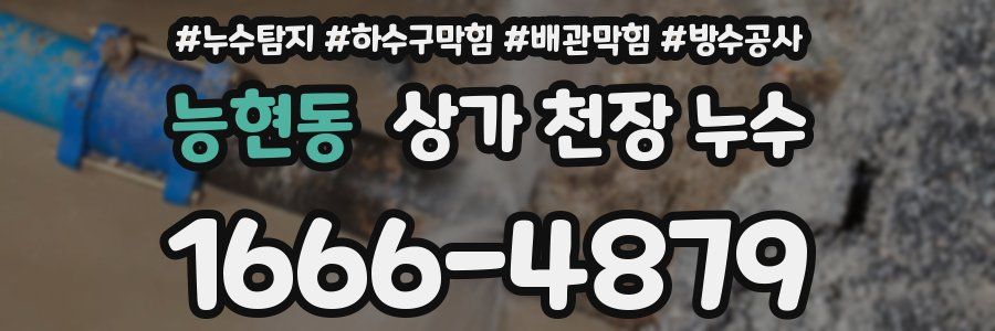 능현동 상가 천장 누수