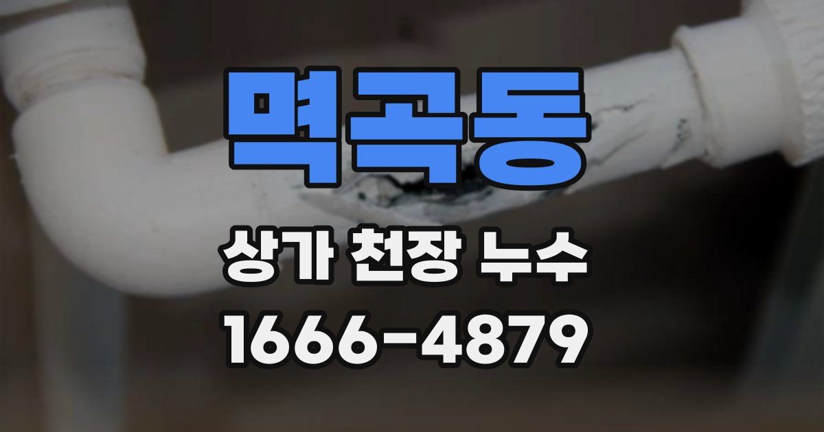멱곡동 상가 천장 누수