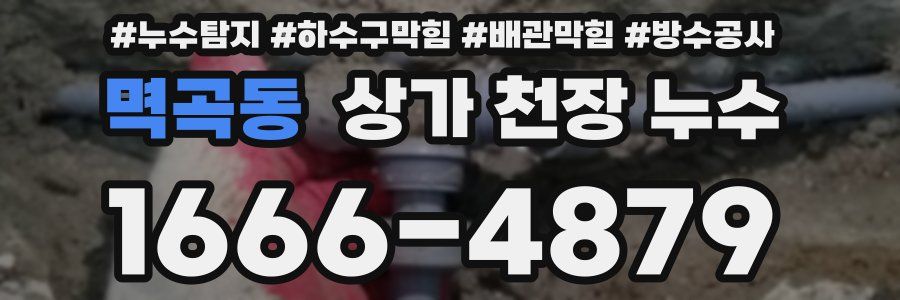 멱곡동 상가 천장 누수