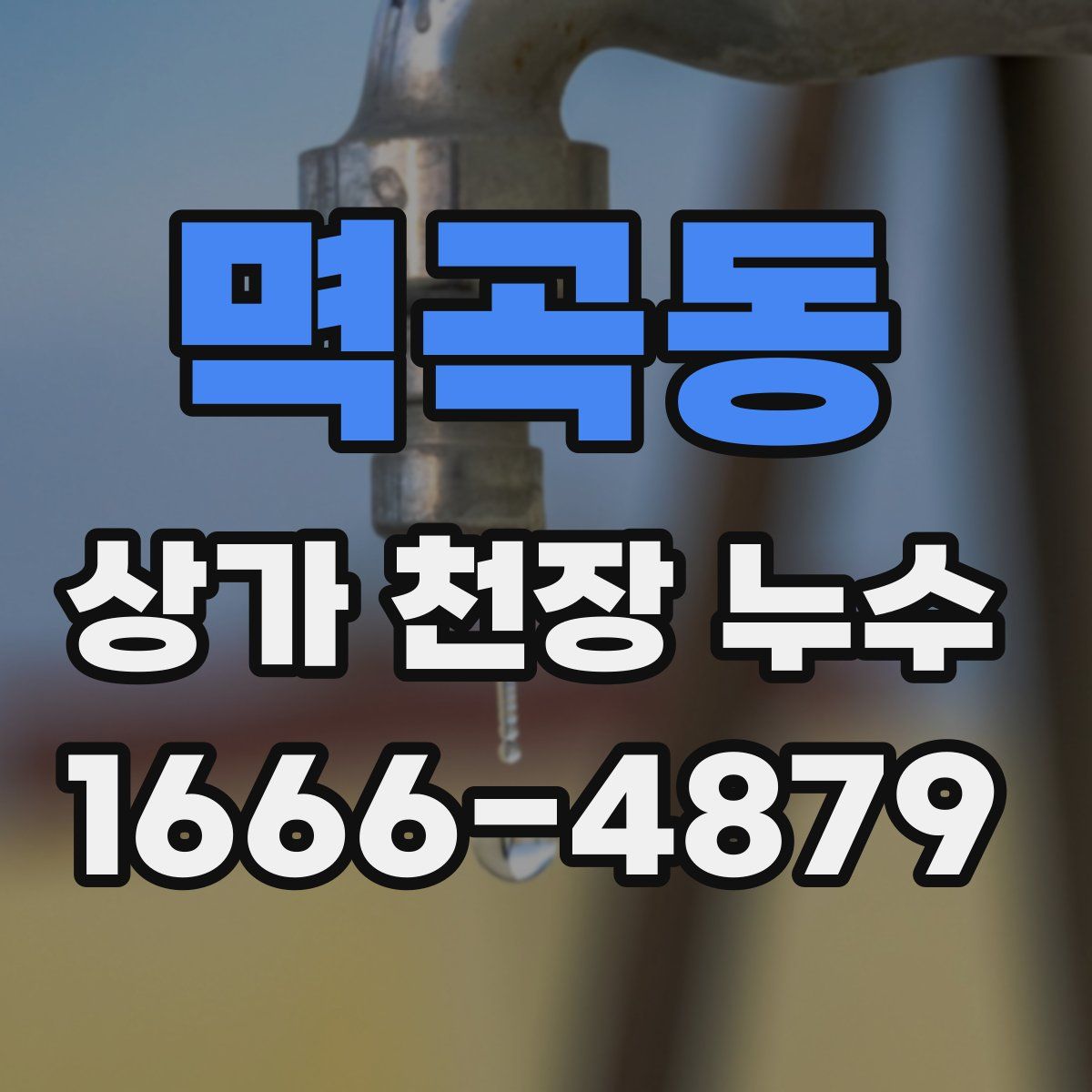 멱곡동 상가 천장 누수