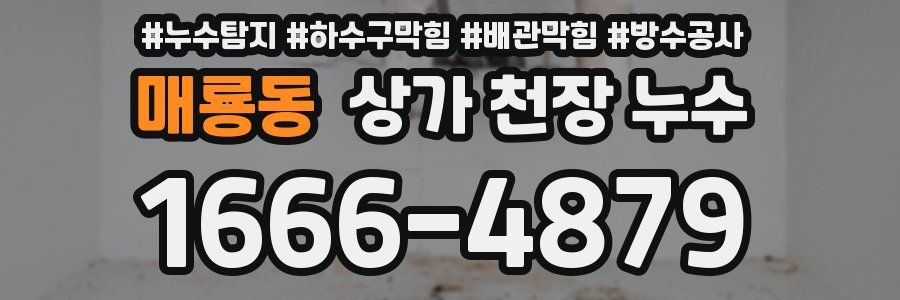 매룡동 상가 천장 누수