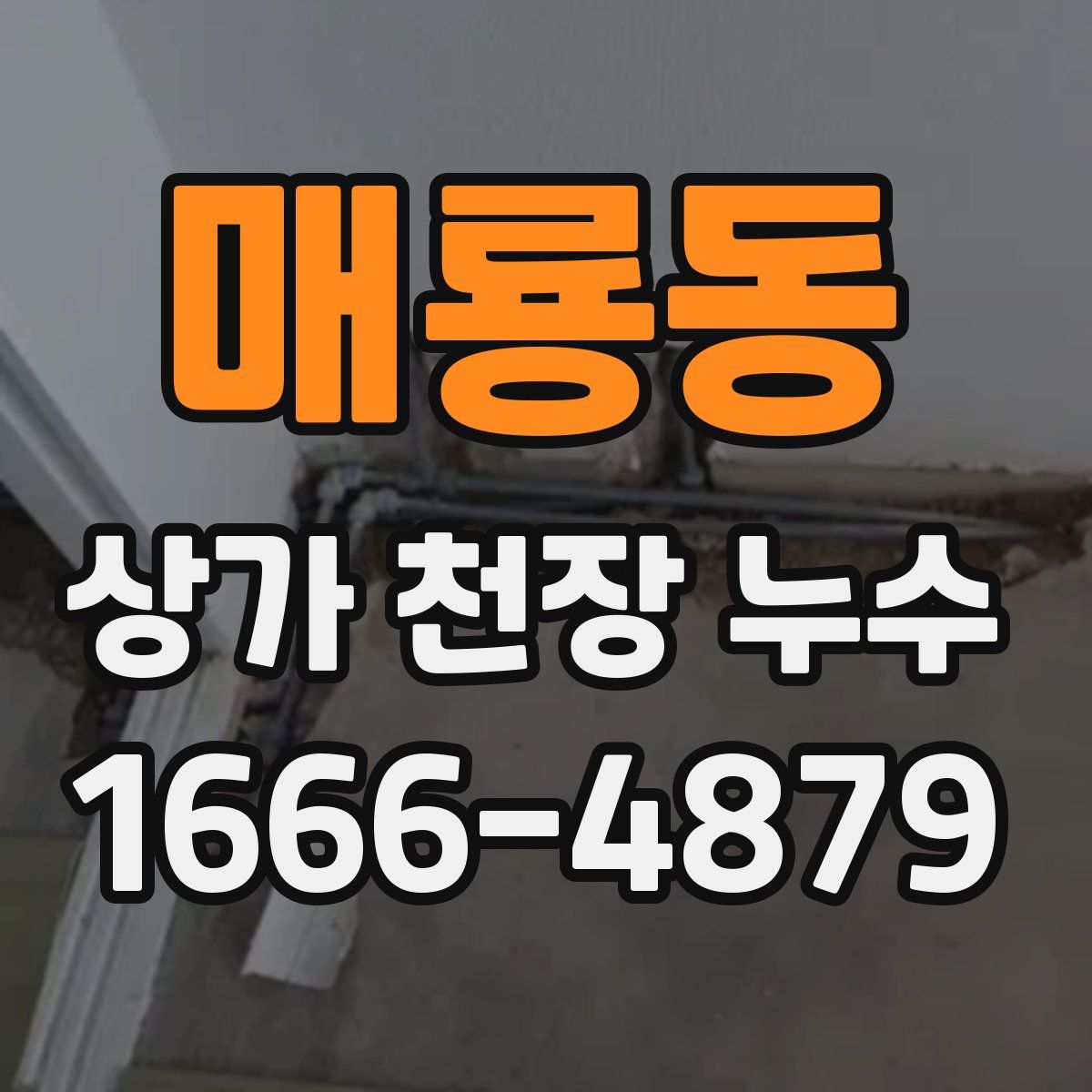매룡동 상가 천장 누수