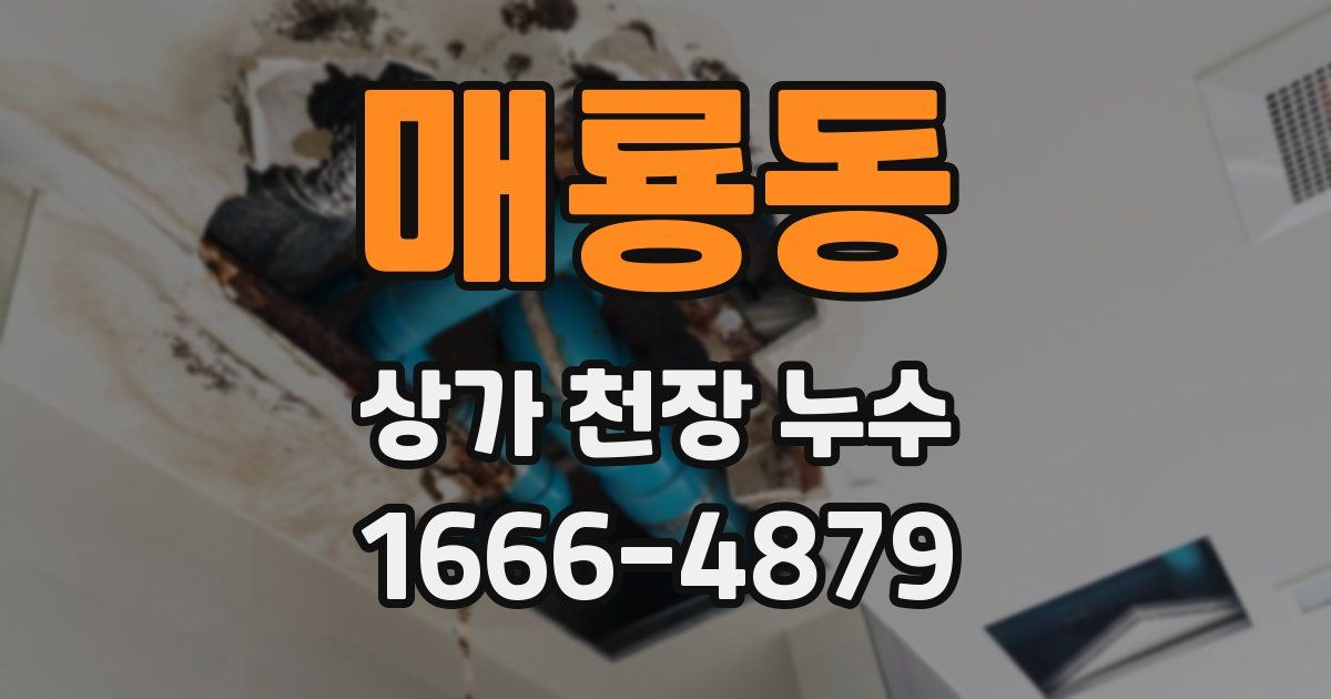 매룡동 상가 천장 누수