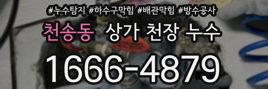 천송동 상가 천장 누수