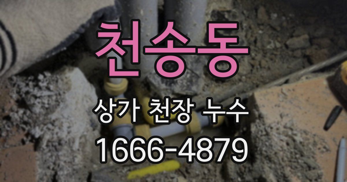 천송동 상가 천장 누수