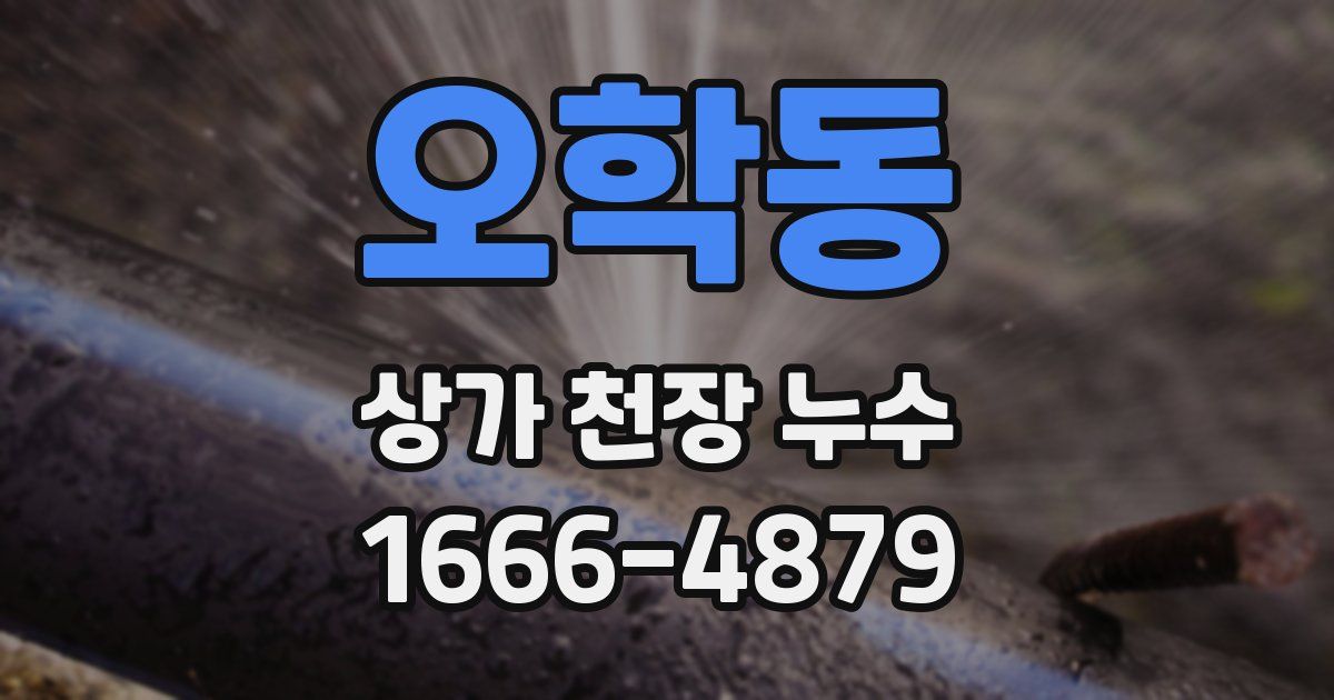 오학동 상가 천장 누수