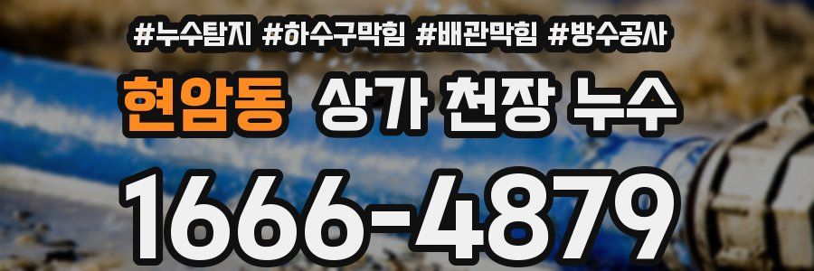 현암동 상가 천장 누수