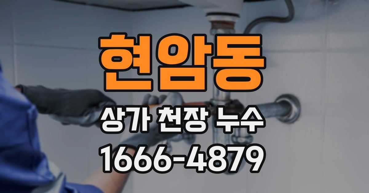 현암동 상가 천장 누수