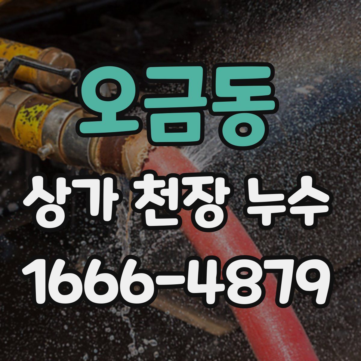 오금동 상가 천장 누수