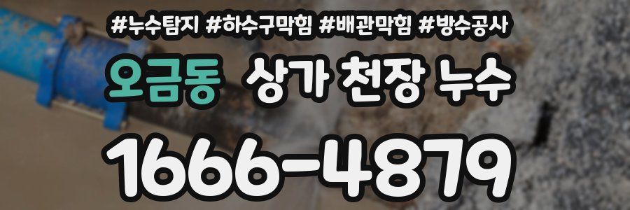 오금동 상가 천장 누수