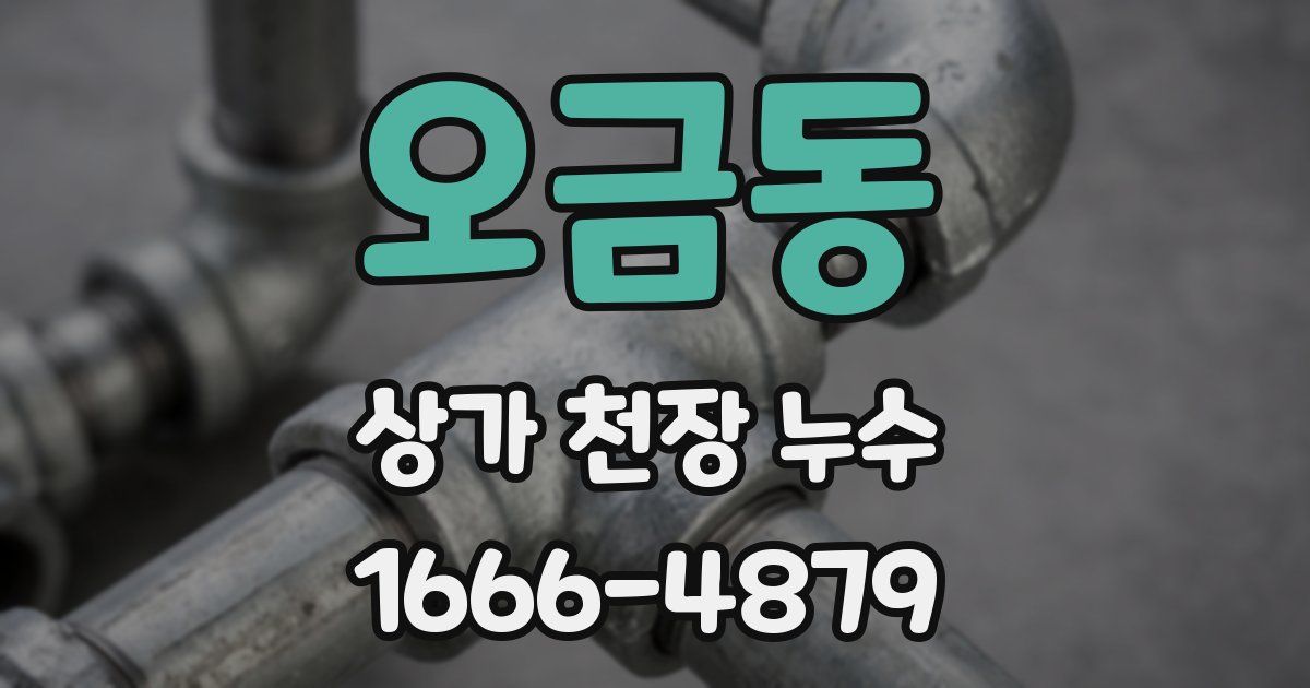 오금동 상가 천장 누수