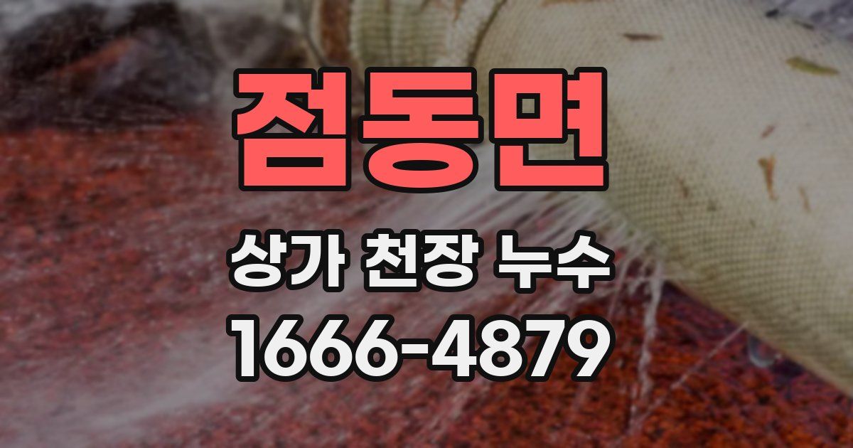 점동면 상가 천장 누수