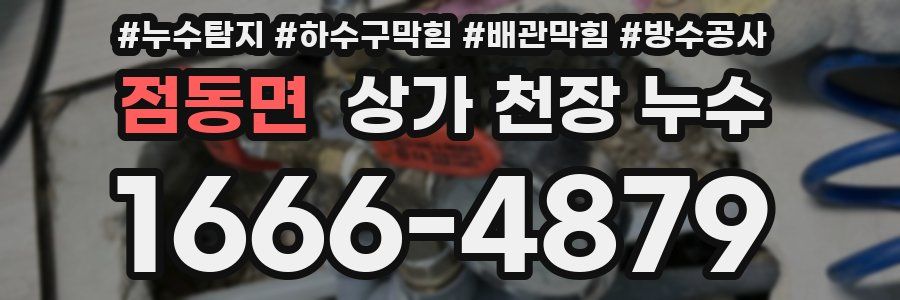 점동면 상가 천장 누수