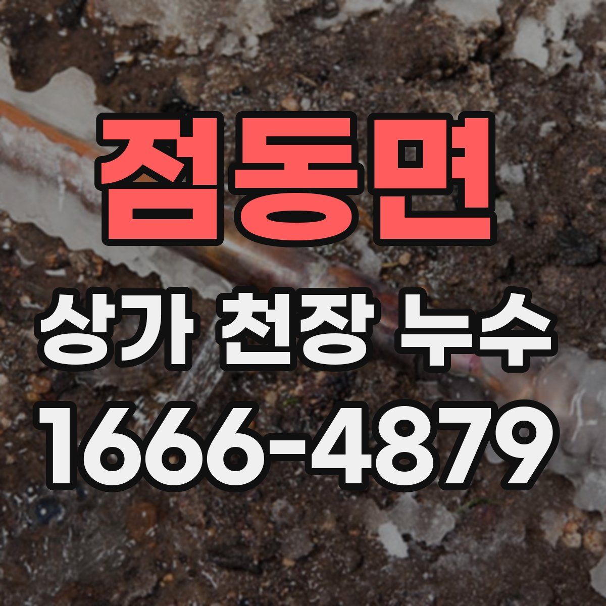 점동면 상가 천장 누수