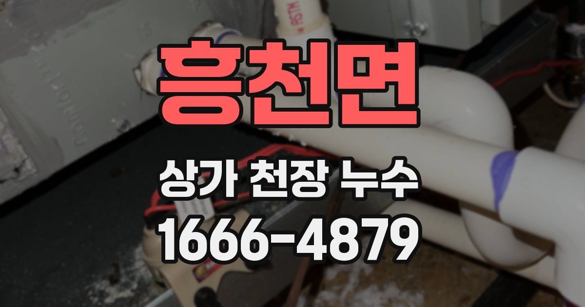 흥천면 상가 천장 누수