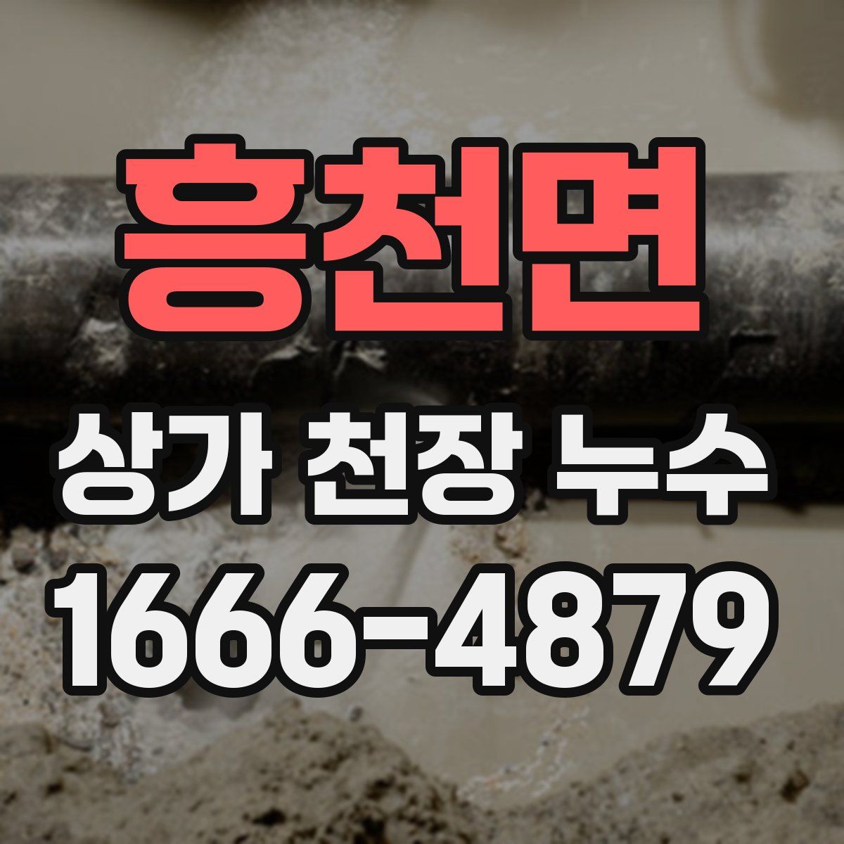 흥천면 상가 천장 누수