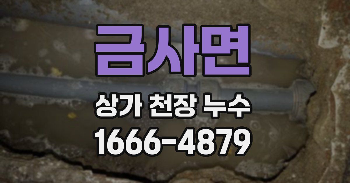 금사면 상가 천장 누수