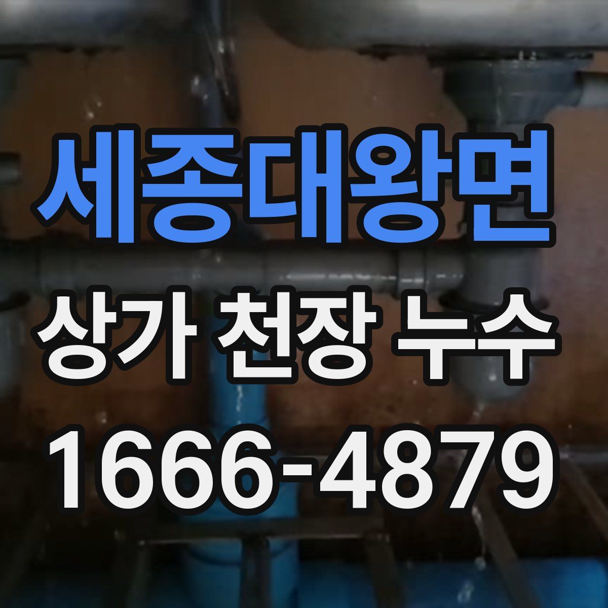 세종대왕면 상가 천장 누수