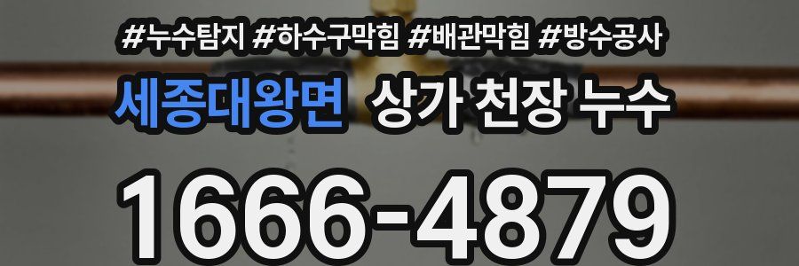 세종대왕면 상가 천장 누수