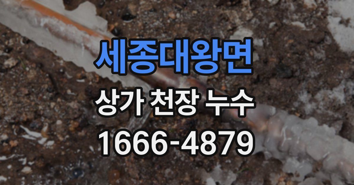 세종대왕면 상가 천장 누수