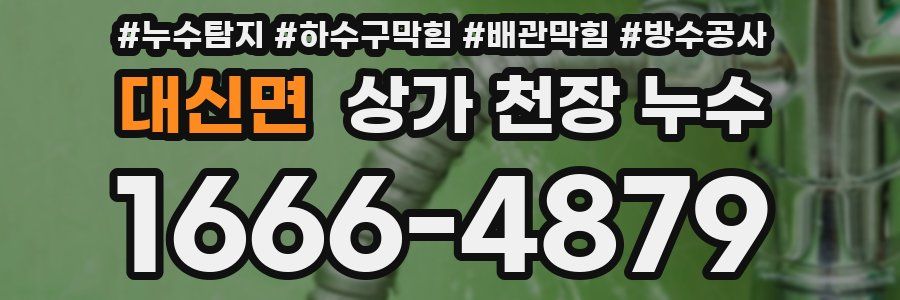 대신면 상가 천장 누수