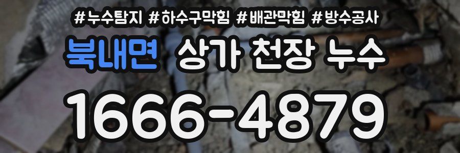 북내면 상가 천장 누수