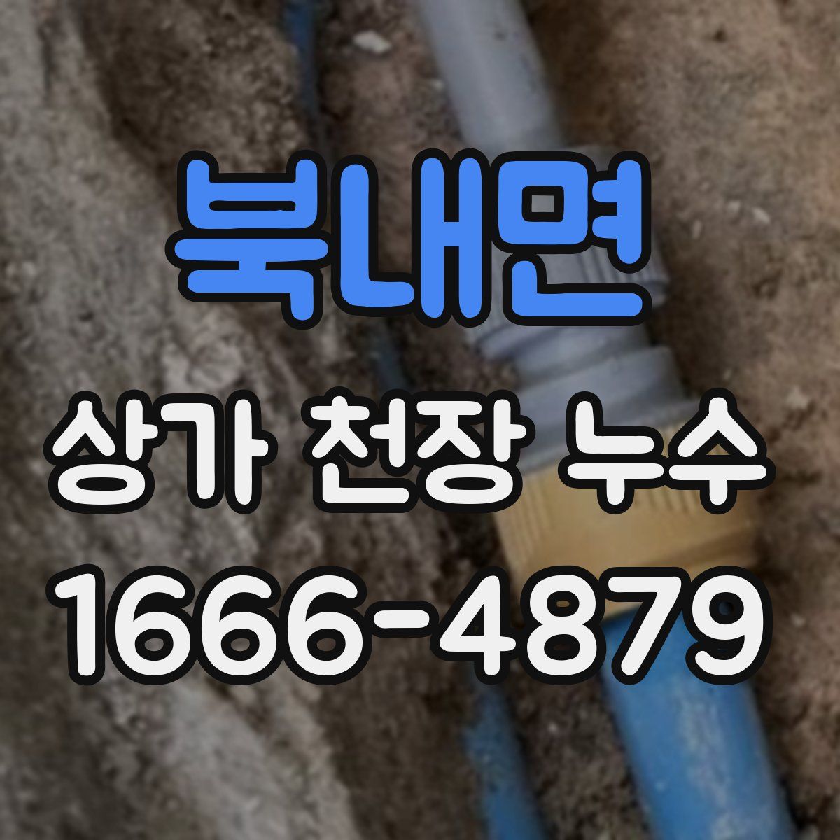 북내면 상가 천장 누수