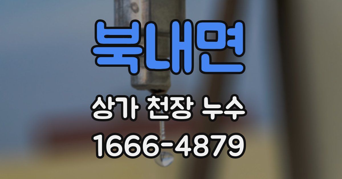 북내면 상가 천장 누수