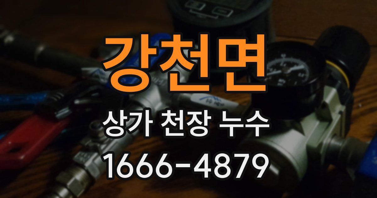 강천면 상가 천장 누수