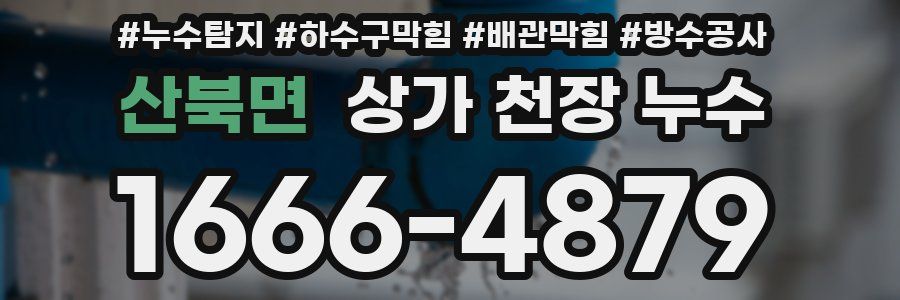 산북면 상가 천장 누수