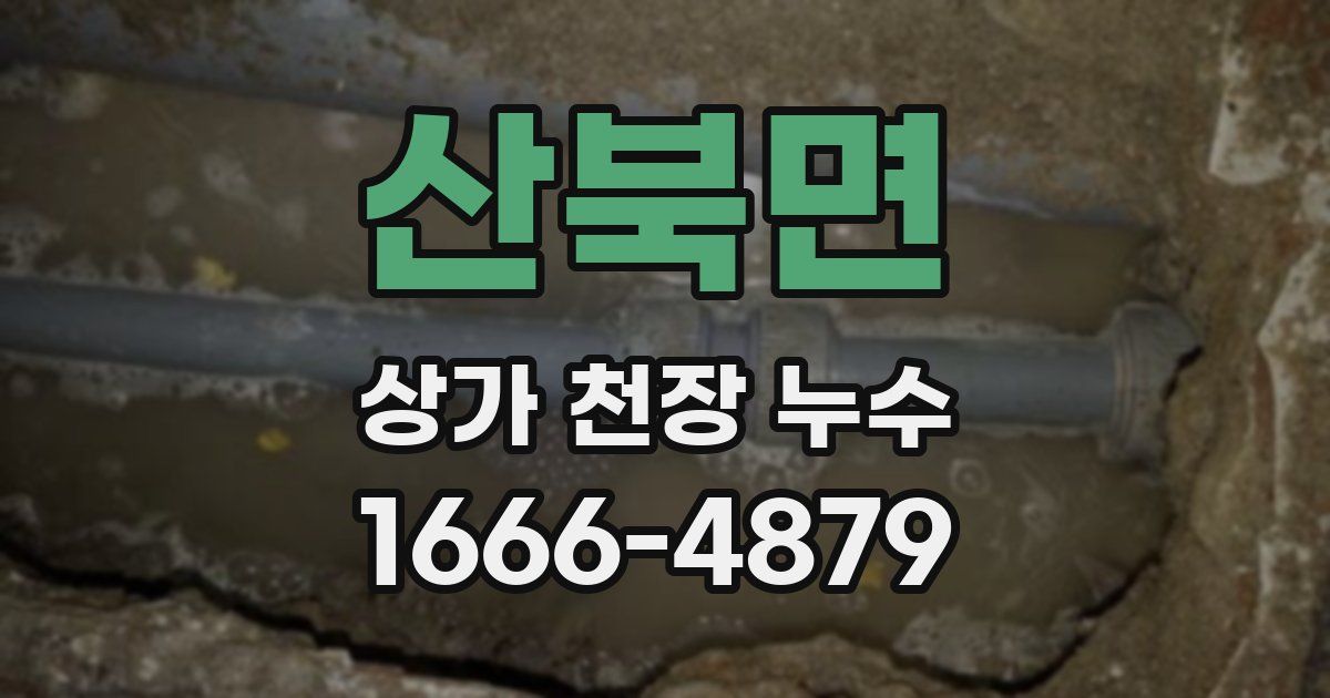 산북면 상가 천장 누수