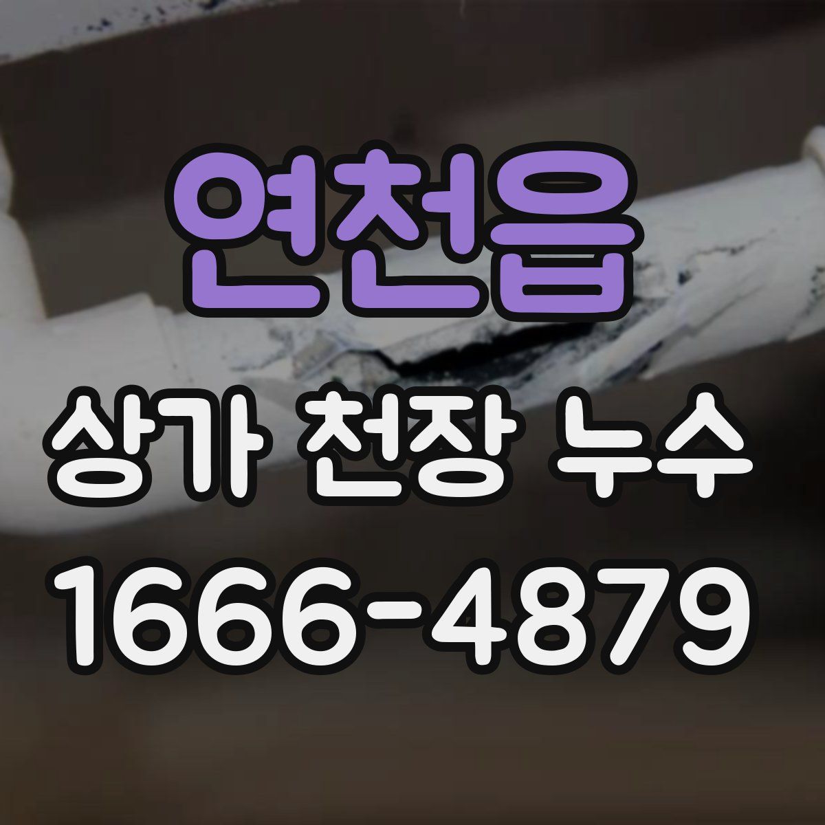 연천읍 상가 천장 누수