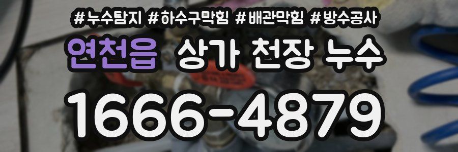 연천읍 상가 천장 누수
