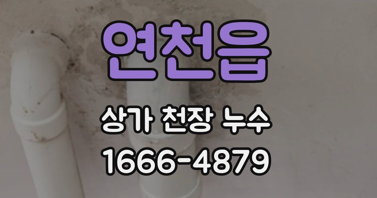 연천읍 상가 천장 누수