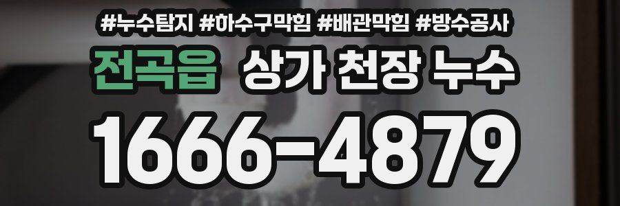 전곡읍 상가 천장 누수