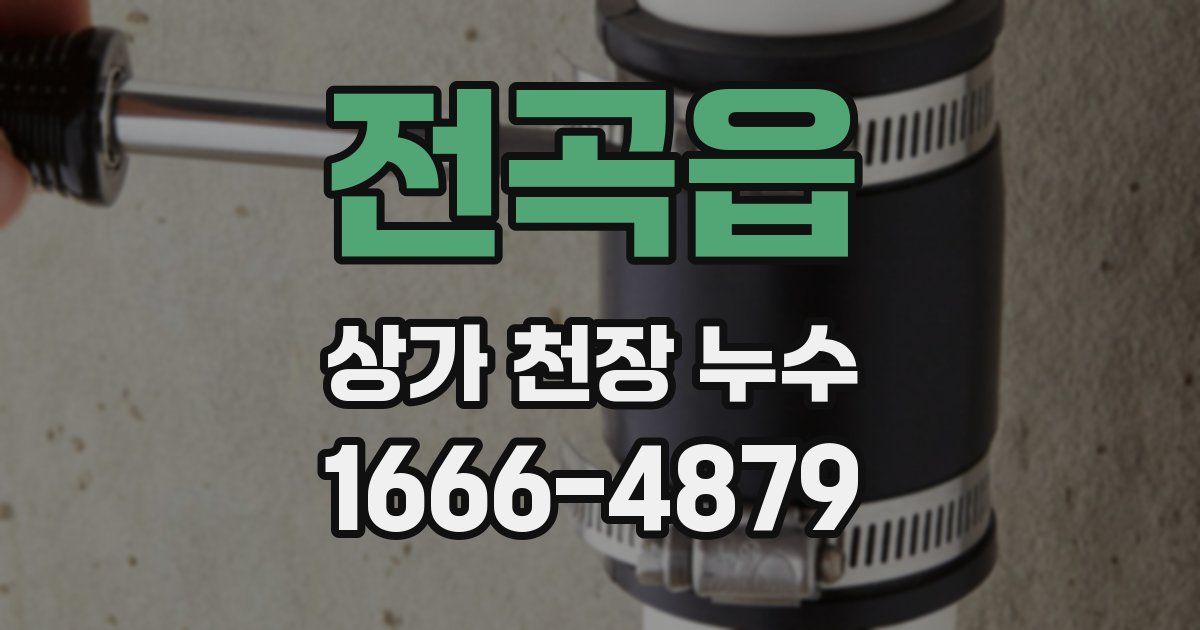 전곡읍 상가 천장 누수