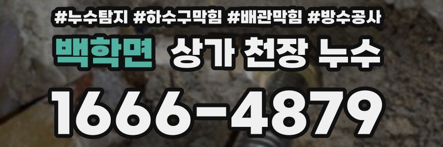 백학면 상가 천장 누수