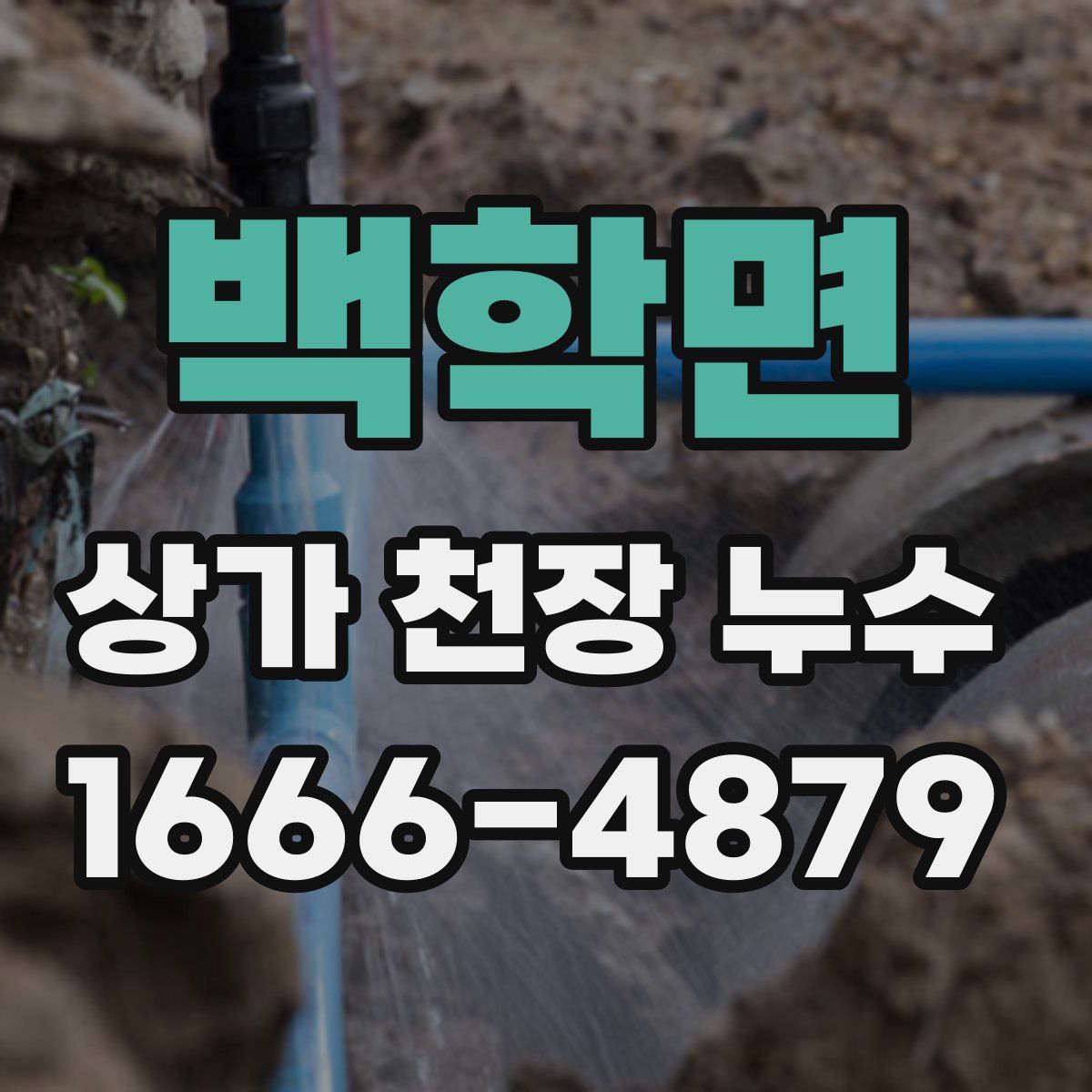 백학면 상가 천장 누수