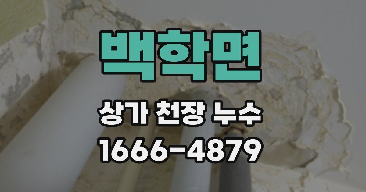 백학면 상가 천장 누수
