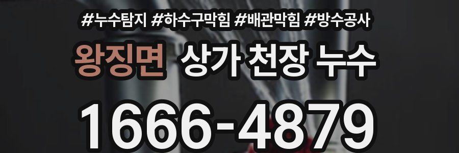 왕징면 상가 천장 누수