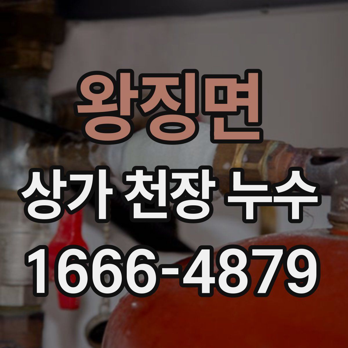 왕징면 상가 천장 누수
