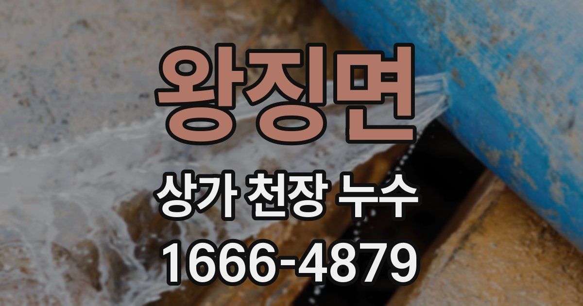 왕징면 상가 천장 누수