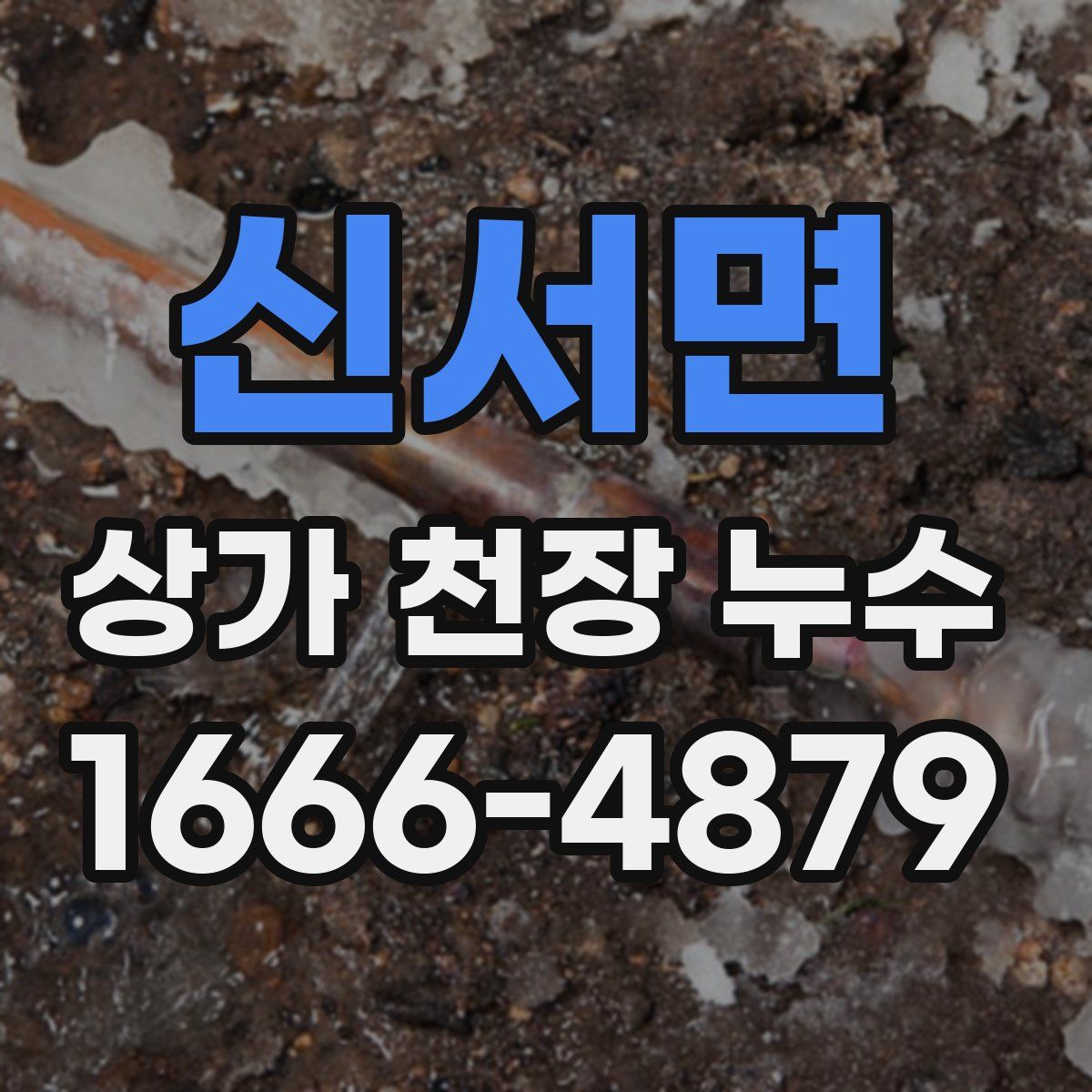 신서면 상가 천장 누수