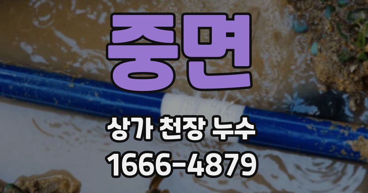중면 상가 천장 누수